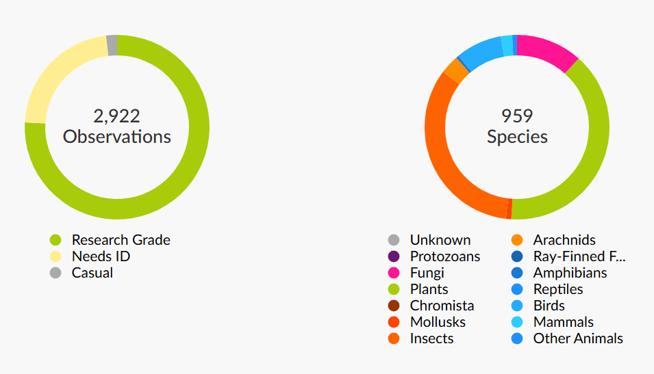 observations and species